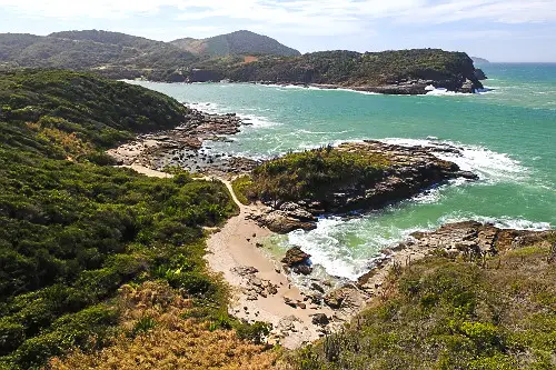 Guia da Praia da Foca: Como Chegar e O Que Esperar