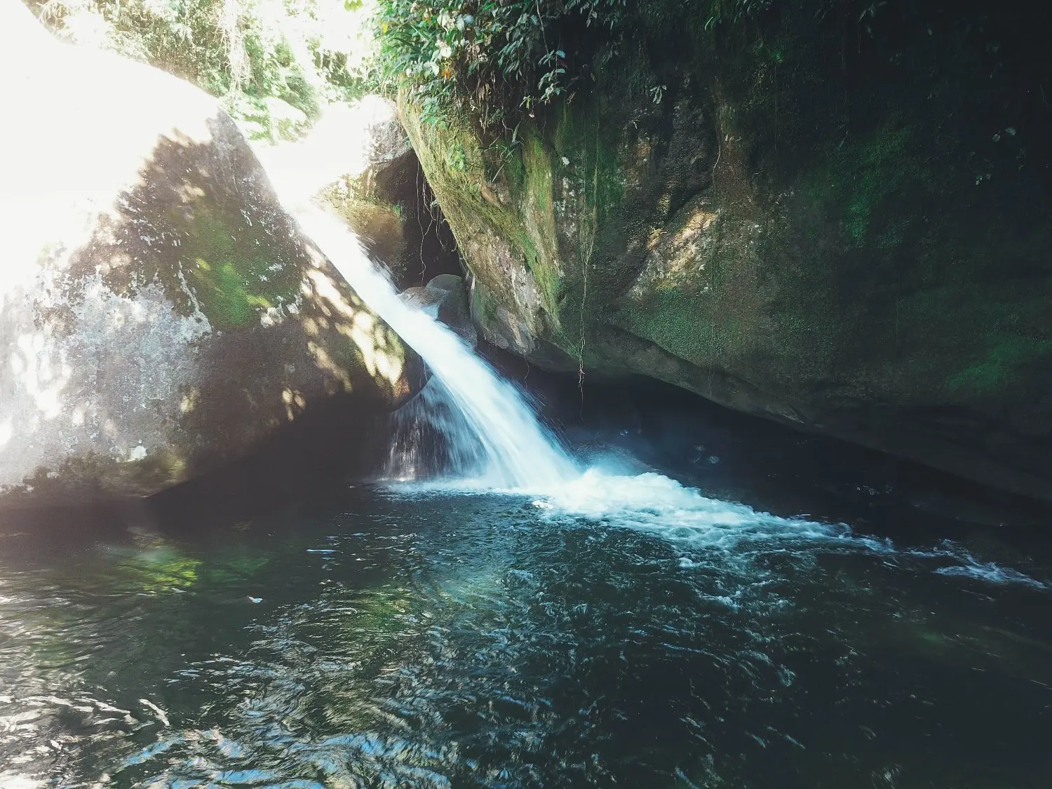 fotografia imersiva e vibrante tirada de dentro do rio em Guapimirim